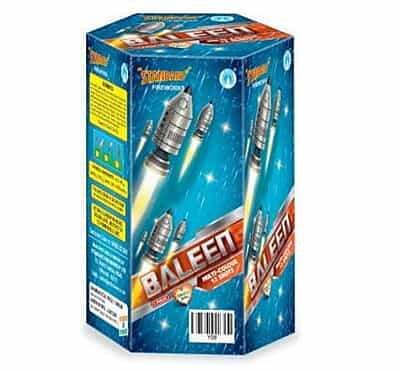 12 SHOTS BALEEN