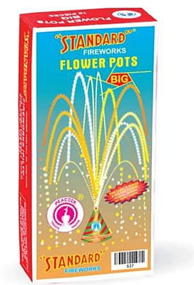 FLOWERPOTS BIG(10PCS)